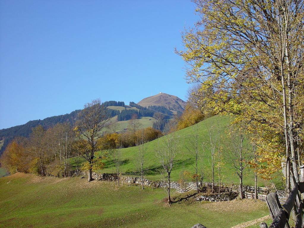 Ferienwohnung Am Lindenweg Brixen im Thale Bagian luar foto